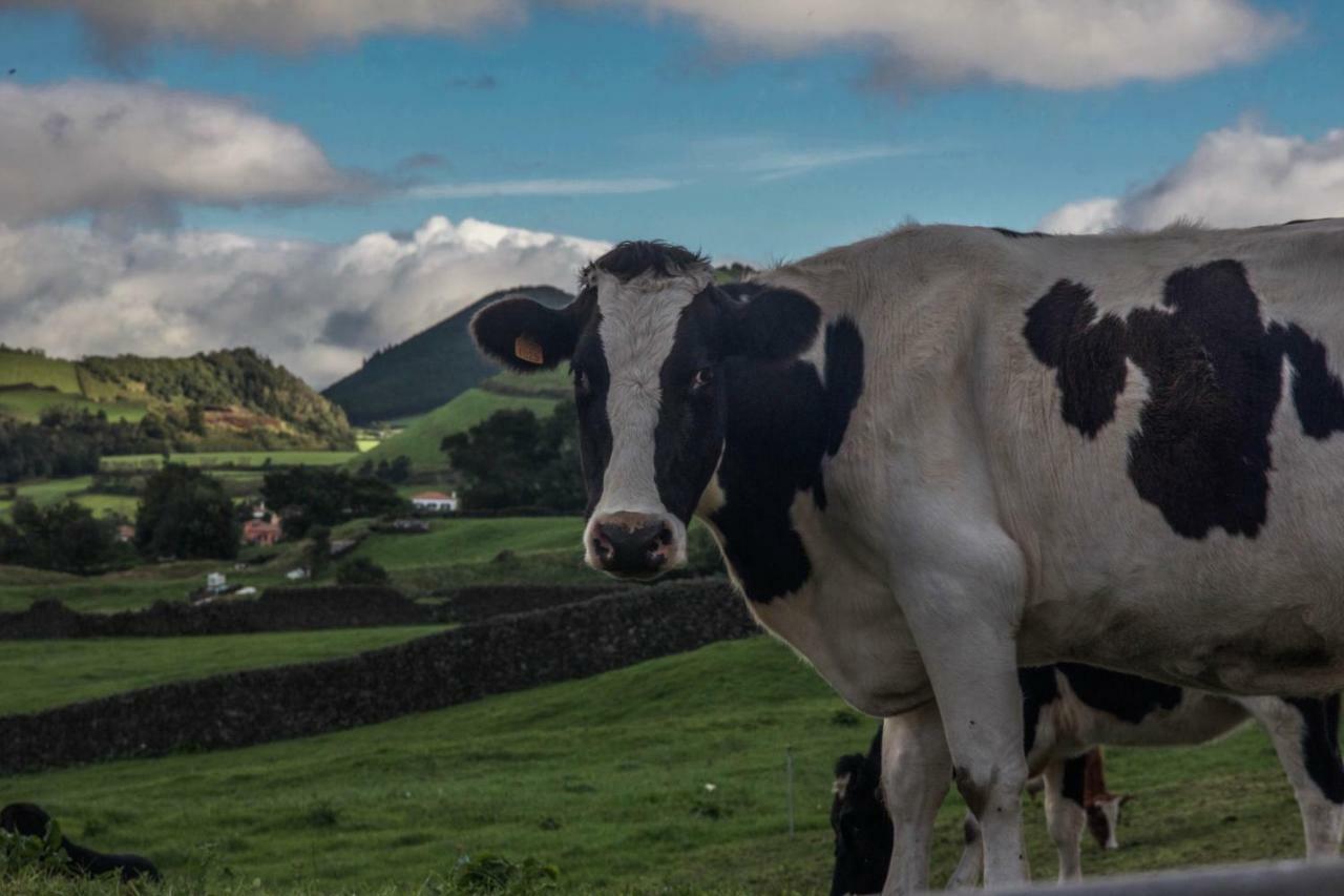 Quinta Do Norte Capelas Zewnętrze zdjęcie