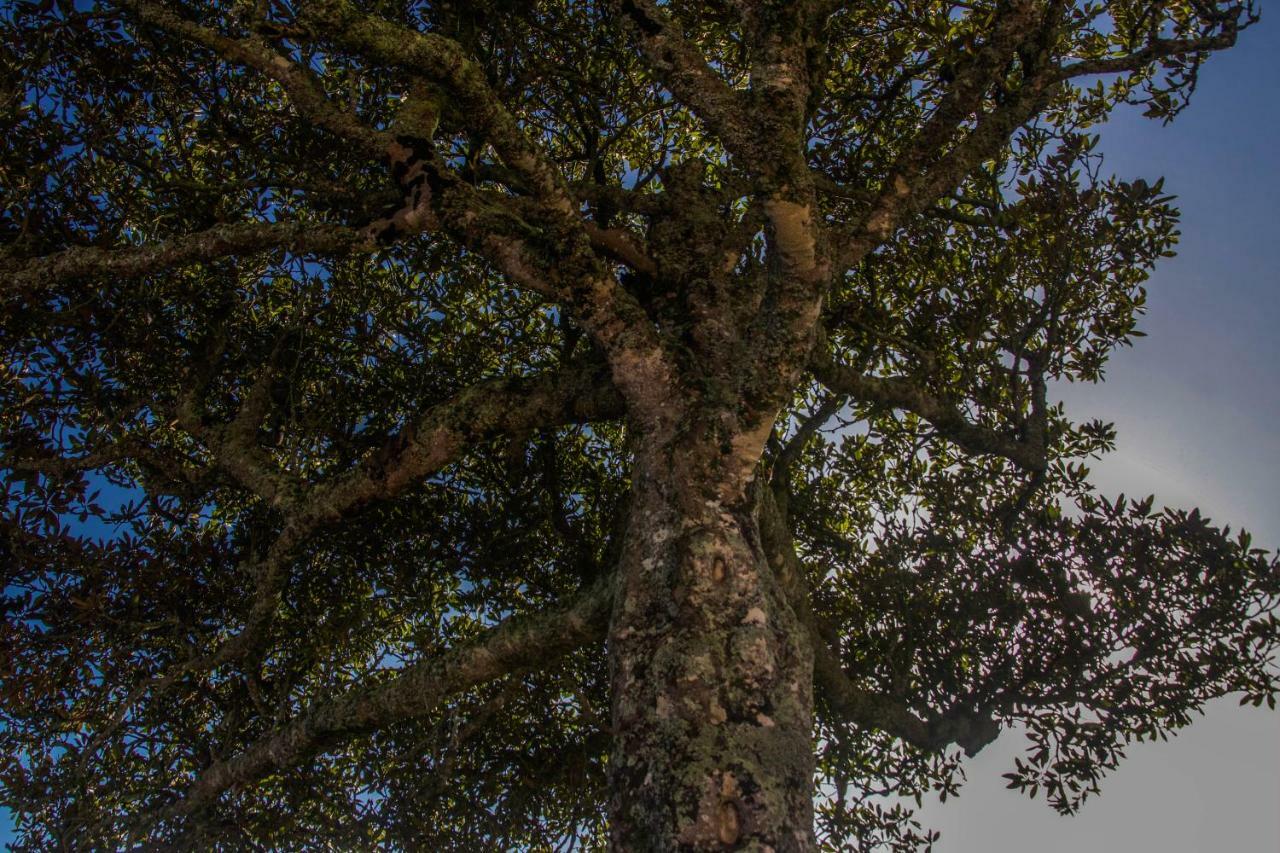 Quinta Do Norte Capelas Zewnętrze zdjęcie